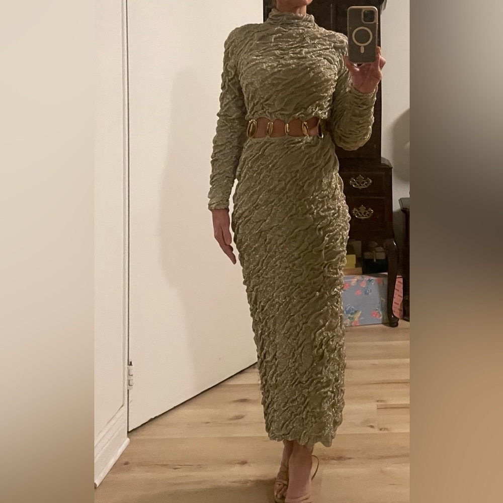 Simkhai Karissa metallic gown - NWT- size small - Picture 4 of 16
